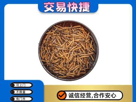 友谊县高价回收散虫草